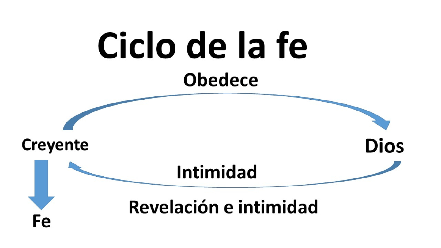 Actitudes Para Cultivar Y Fortalecer La Vida De Fe La Biblia App 1455